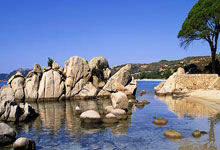 乐鱼体育网站入口-V5绝地反击SKGaming，Deft爆发神勇