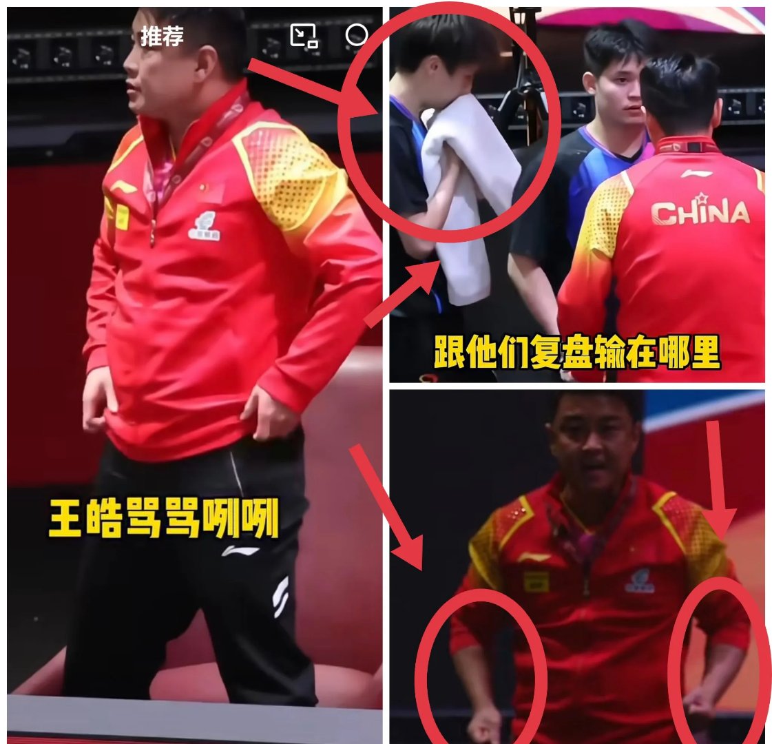 乐鱼app-德国乒乓球队爆冷日本乒乓球队,王皓送出助攻的简单介绍