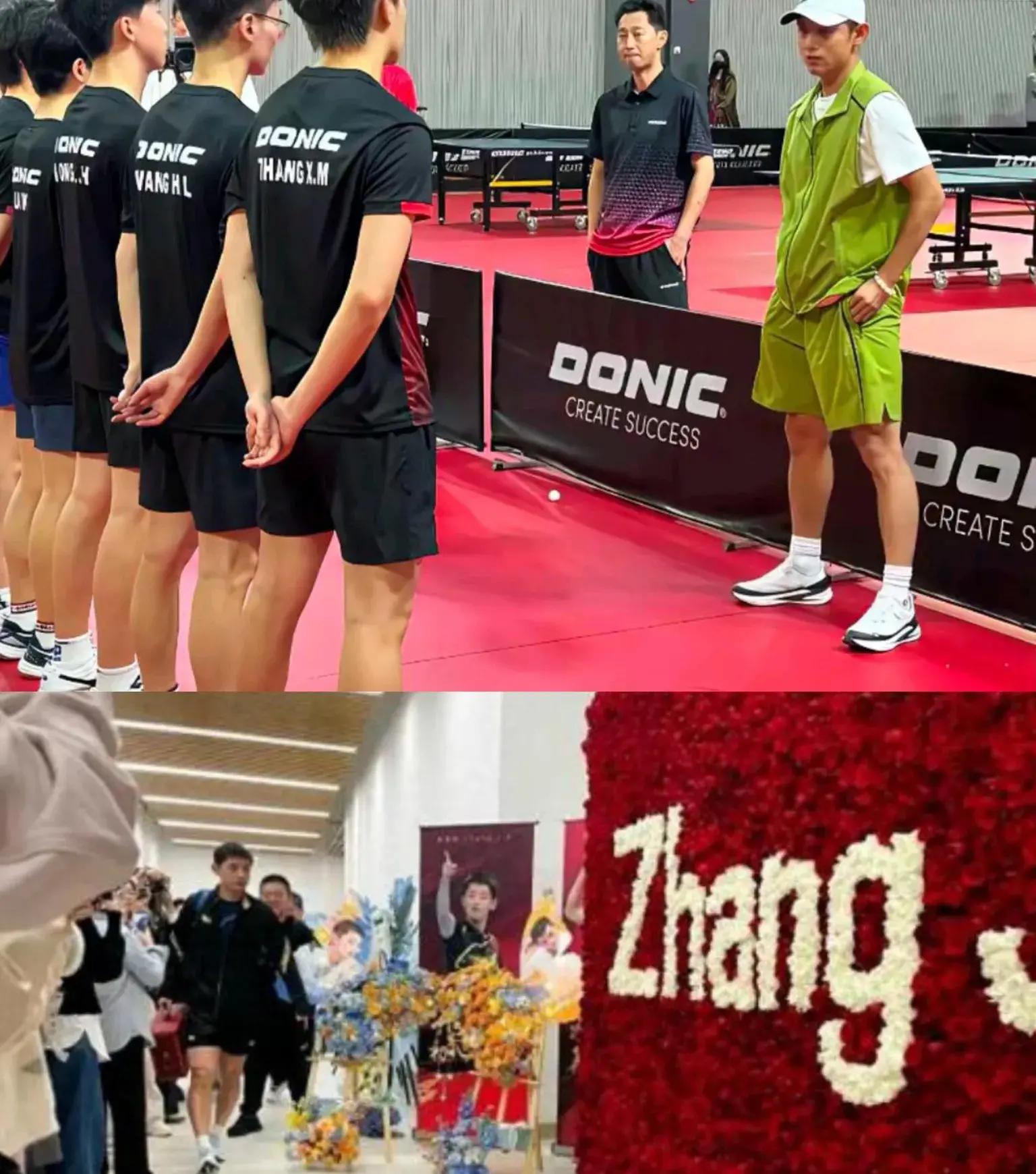 乐鱼官网-法国乒乓球队绝地反击比利时乒乓球队,张继科统治全场的简单介绍